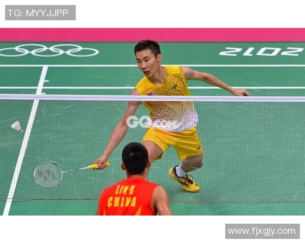 杭州羽毛球队与南京羽毛球队赛后复盘分析力量对比与战术探讨