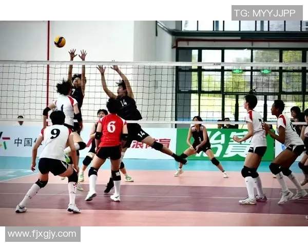 赛后分析：上海排球队与武汉排球队实力对比及比赛亮点解析